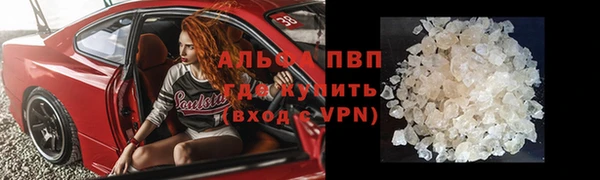 PSILOCYBIN Бронницы