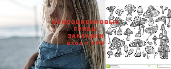мескалин Бородино