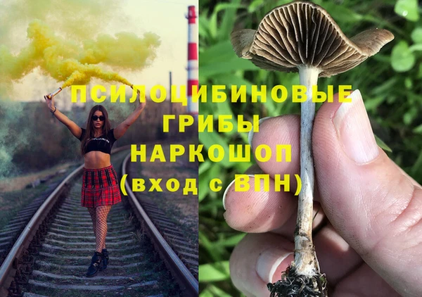 PSILOCYBIN Бронницы