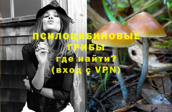 PSILOCYBIN Бронницы
