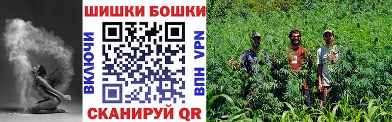 Бошки Шишки планчик  Гудермес 